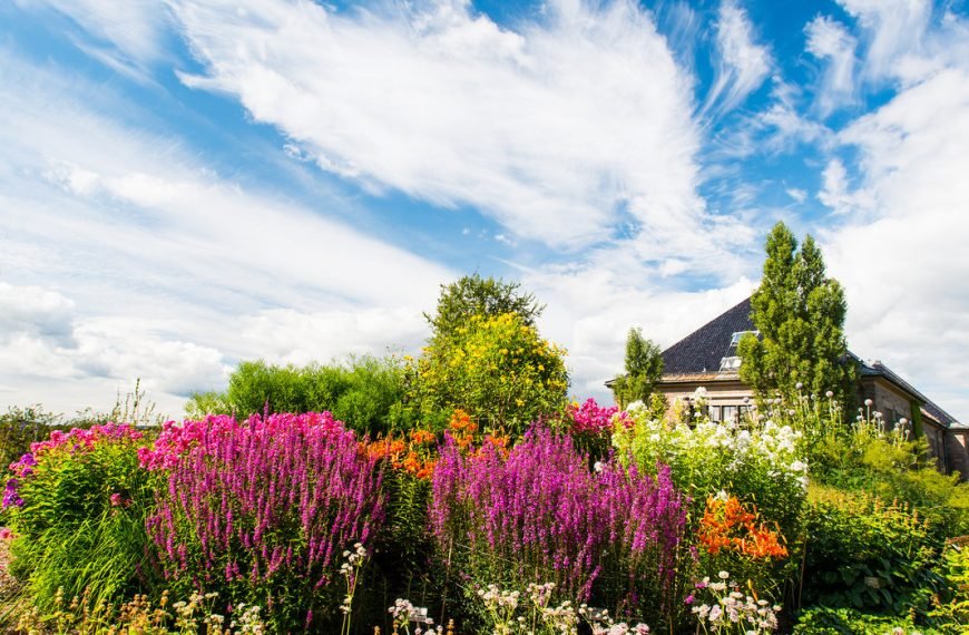 Why Nordic Cities Empty Out in July — And Where Everyone Goes