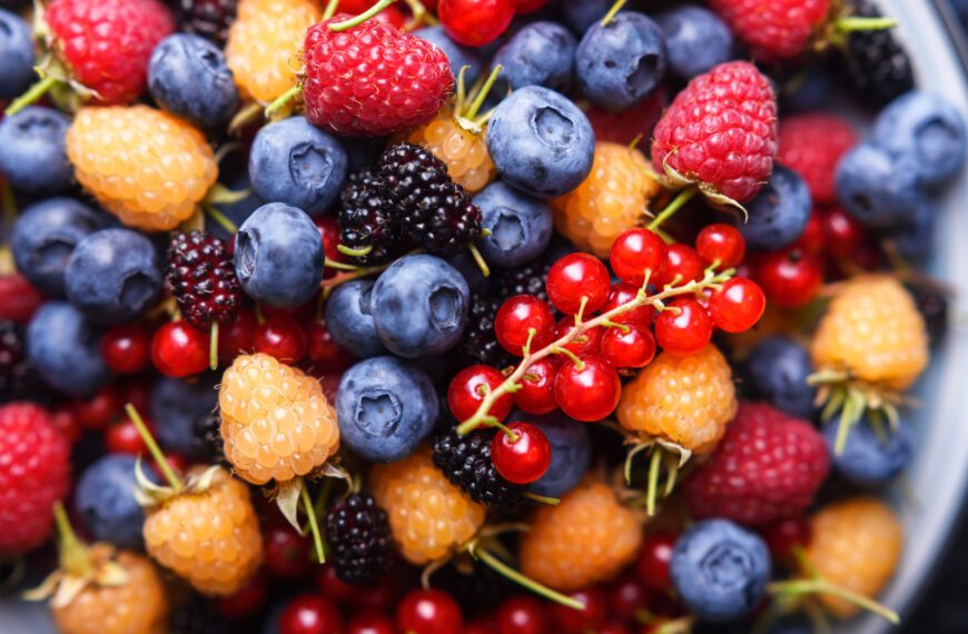 Berry Picking in the Nordics: What You Can Eat and Where