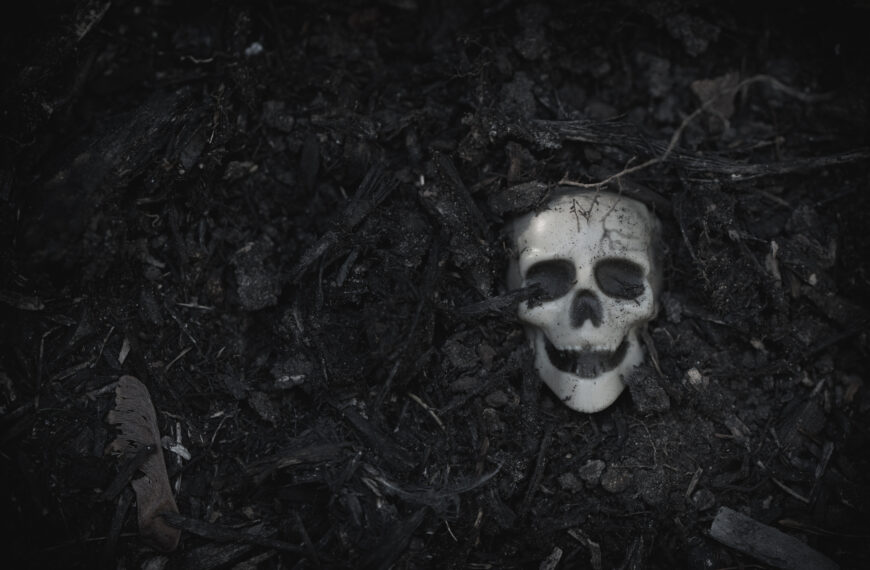 The Black Death in the Nordic countries