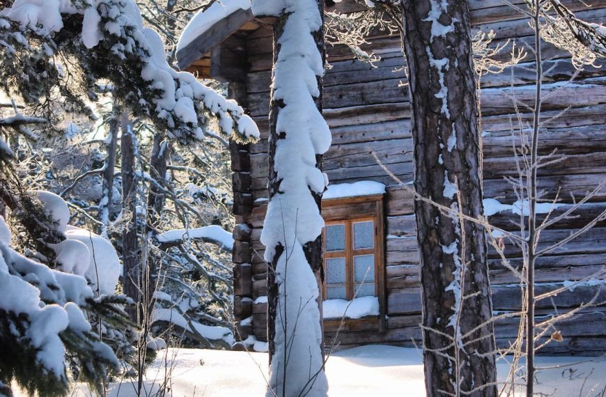 Surviving Nordic Winters: How to Function Without (much) Sunlight for Months