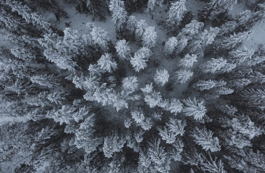 Photo Scandinavia, mythical creatures