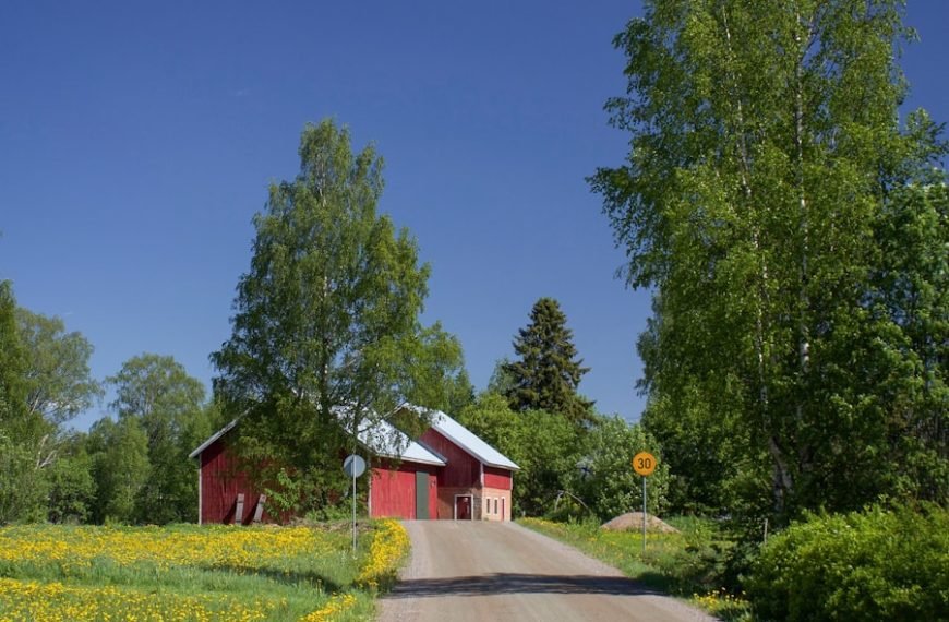 Photo summer, sweden