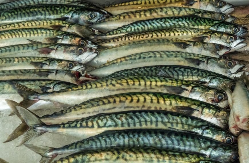 Photo Pickled herring plate