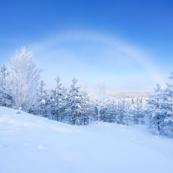 LGBTQ+ History in the Nordic Countries