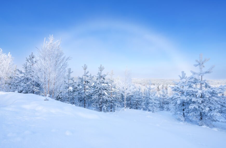 LGBTQ+ History in the Nordic Countries