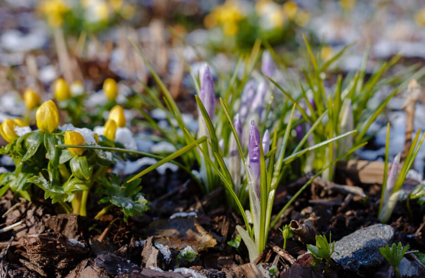 Your guide to Springtime&hellip;