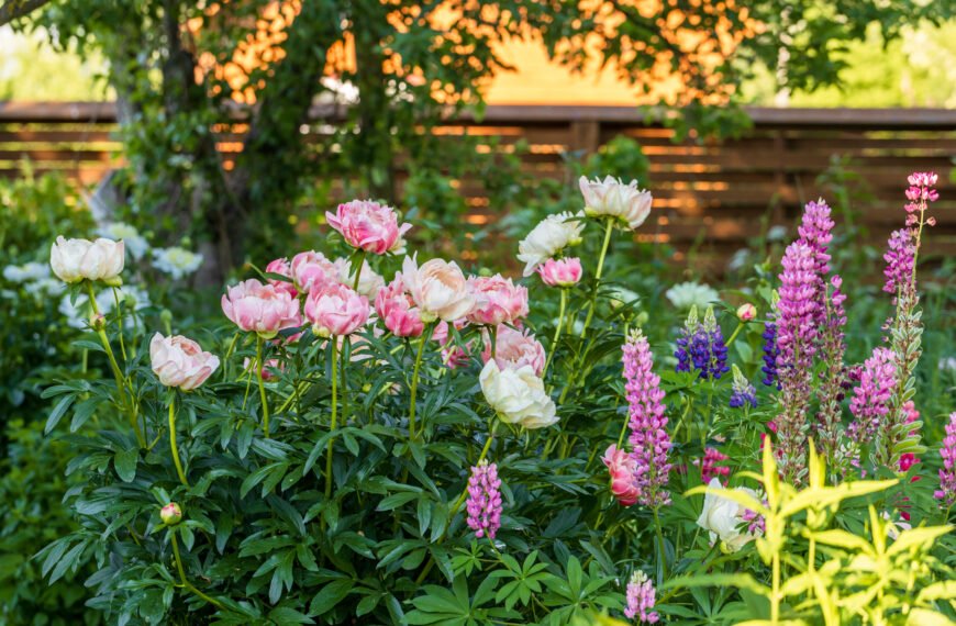 The Short Season: Spring and the&hellip;