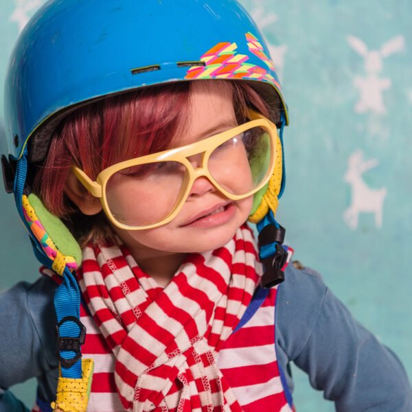 risk as a teaching tool: The scandinavian&hellip;