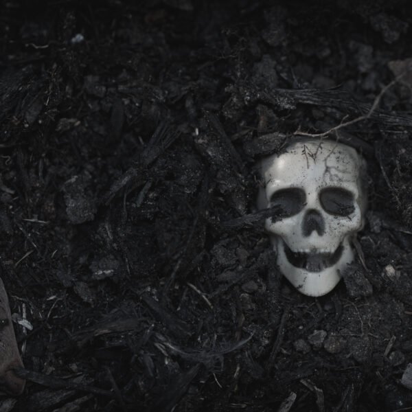 The Black Death in the Nordic countries