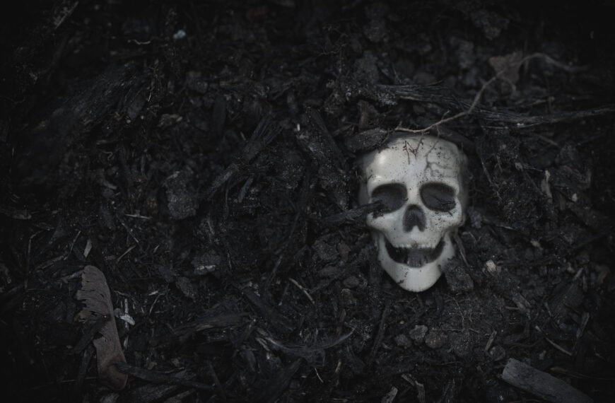 The Black Death in the Nordic countries