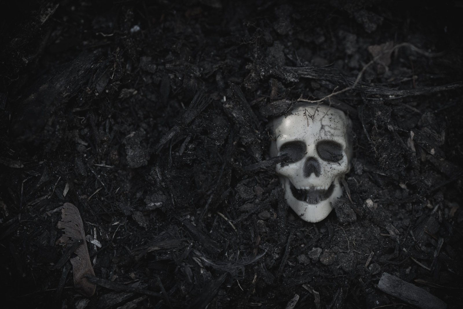 The Black Death in the Nordic countries